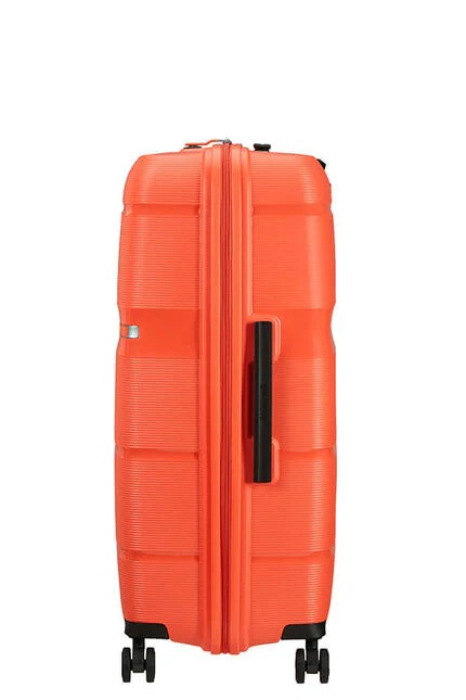 Linex de American Tourister Spinner Talla Grande - Image 23