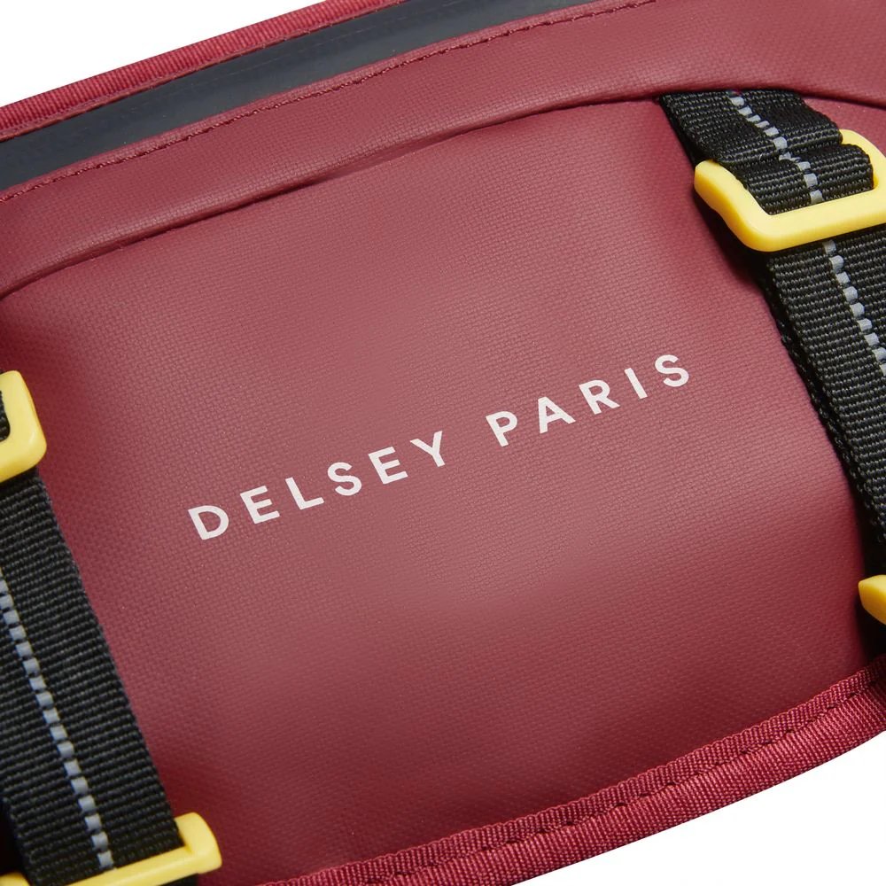DELSEY RASPAIL BOLSO BANDOLERA MINI - Image 20